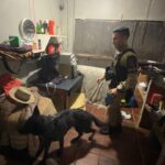 Ação conjunta da Polícia Civil e da Polícia Militar foi realizada na manhã desta sexta-feira (16), com cumprimento de ordens judiciais e apoio de cães farejadores.